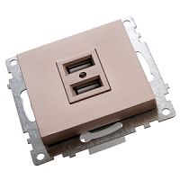 STEKKER Катрин Шампань Розетка 2-местная USB 250В, 2,4А GLS10-7115-02